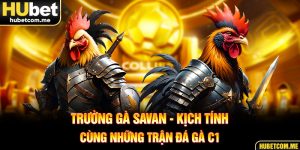 Trường Gà Savan - Kịch Tính Cùng Những Trận Đá Gà C1