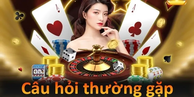Câu hỏi thường gặp quanh các dịch vụ mà Hubet cung cấp