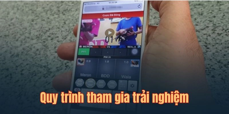 Quy trình tham gia trải nghiệm & đặt cược cực đơn giản