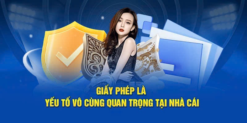 Giới thiệu chung về giấy phép kinh doanh