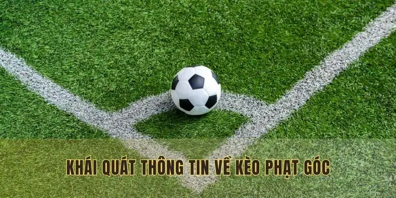 Khái quát thông tin về kèo phạt góc