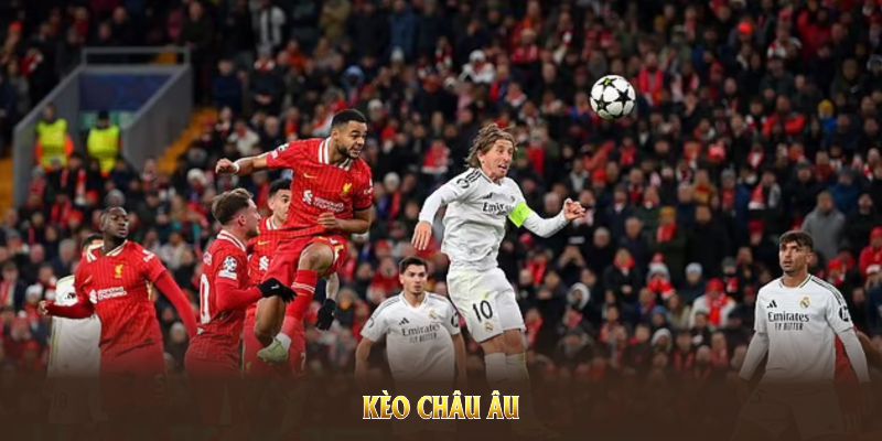 Hiểu rõ về đội bóng là kinh nghiệm soi kèo châu Âu hiệu quả đã được kiểm chứng