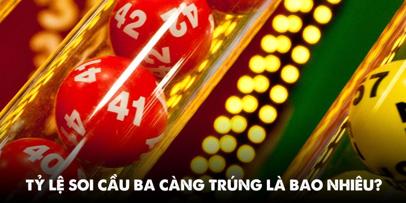 Tỷ lệ soi cầu ba càng là bao nhiêu? Tìm hiểu cụ thể